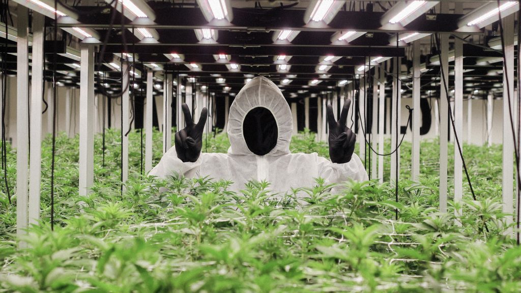 Terpsquad by Kilogrammes