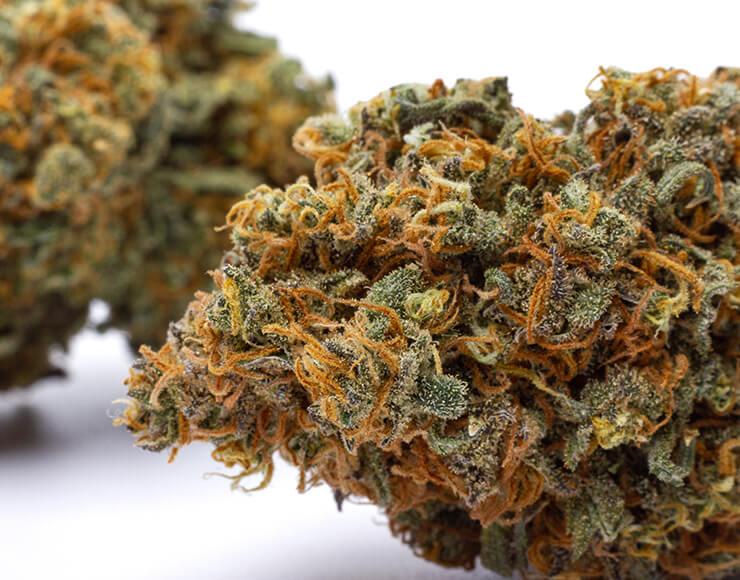 Découvrir nos produits CBD